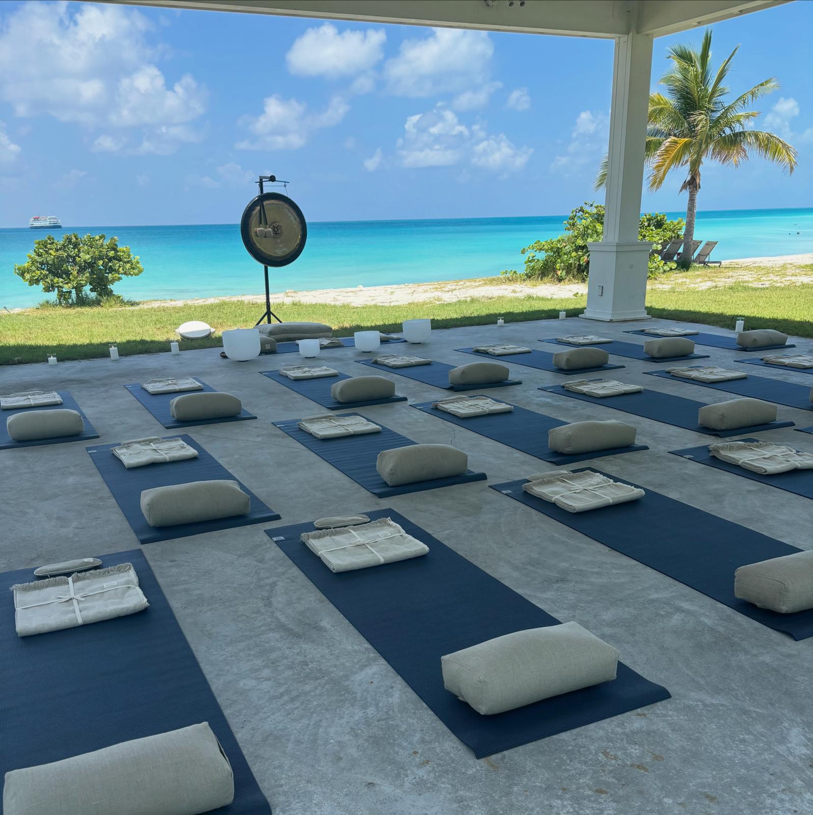 Yoga mats arranged on a concrete floor with a scenic ocean view and palm trees in the background.
